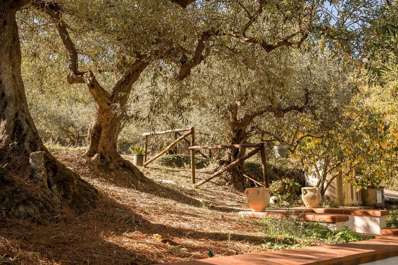 Holiday home Valateddi Villa Cammarata Italy
