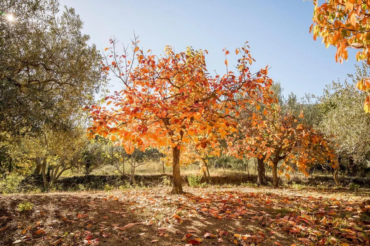 Valateddi Villa Cammarata Holiday home
